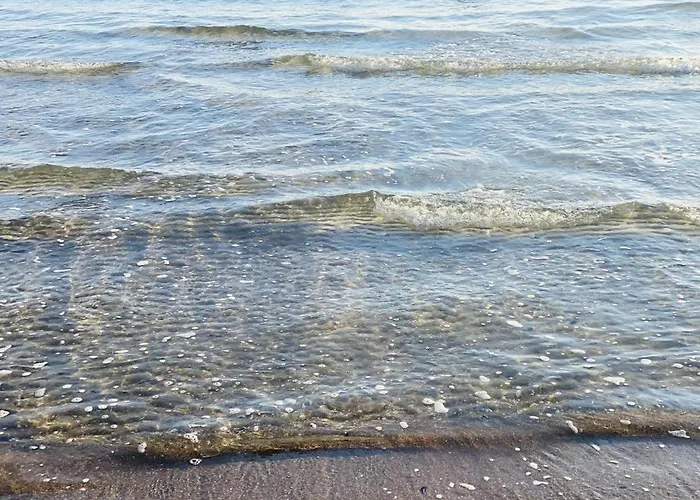 公寓 Bellevue Nr. 15 *